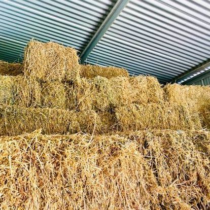A pile of hay bales stacked on top of each other in a barn.