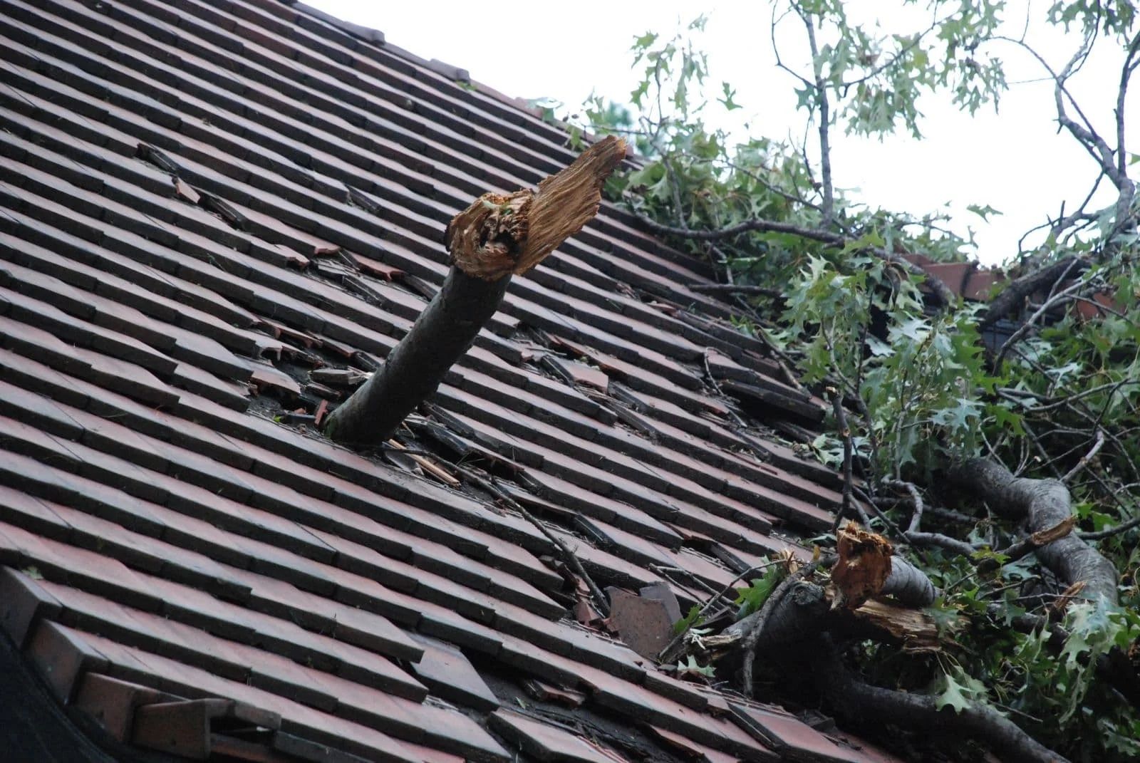 Tree branches have fallen onto a brown tiled roof, breaking tiles and creating holes.