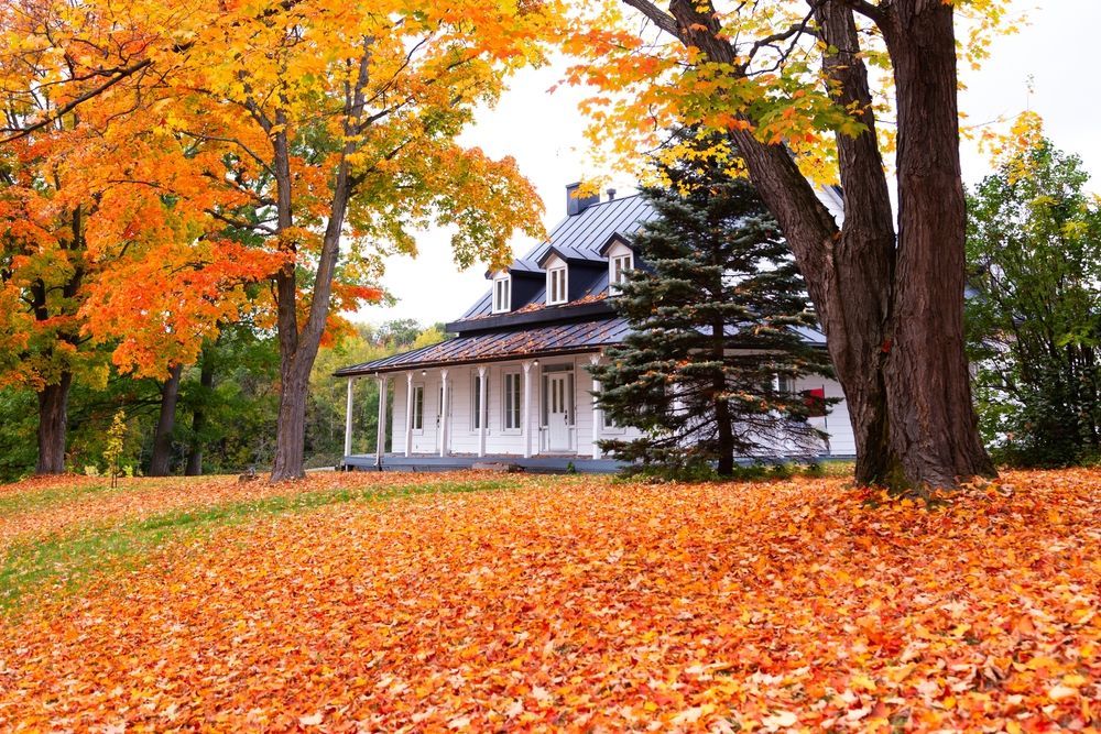 A house is surrounded by trees and leaves in autumn