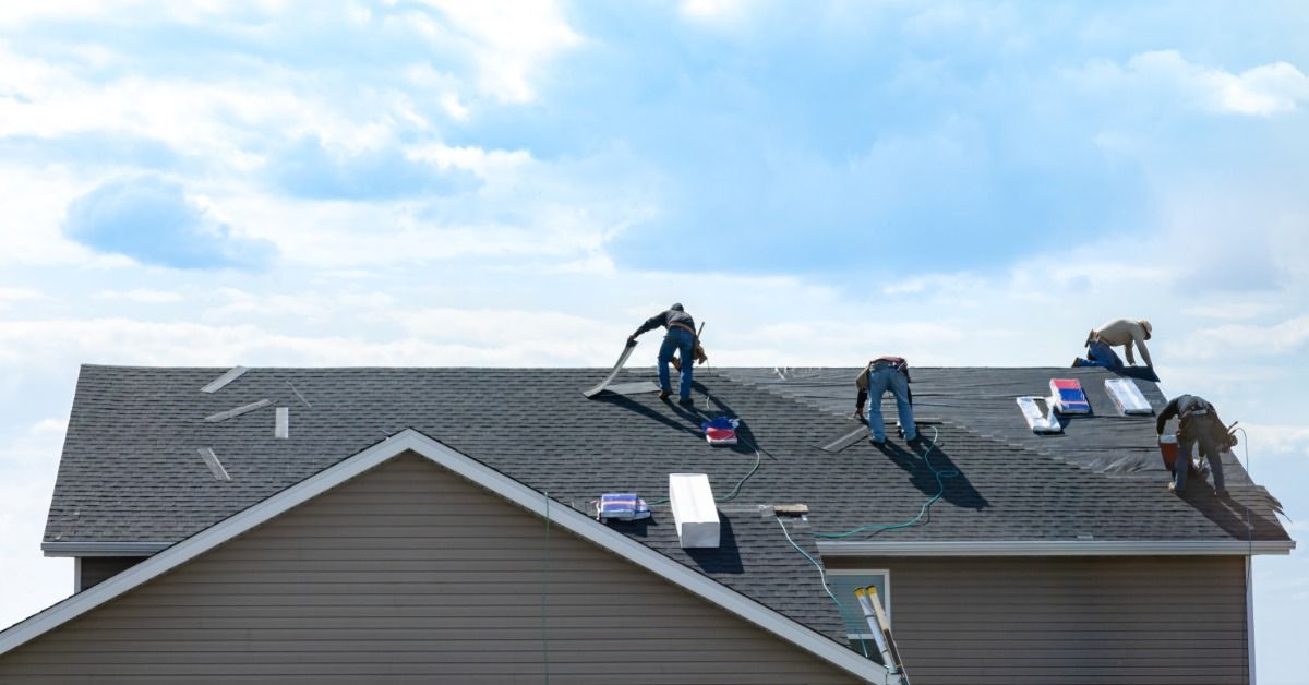 Four roofers install shingles on a residential roof, working with tools and materials.