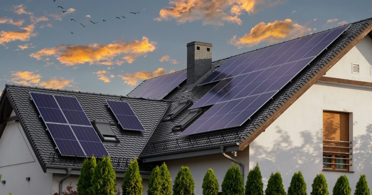 Solar panels cover a large sloped roof on a modern home, framed by evergreen trees beneath a colorfu