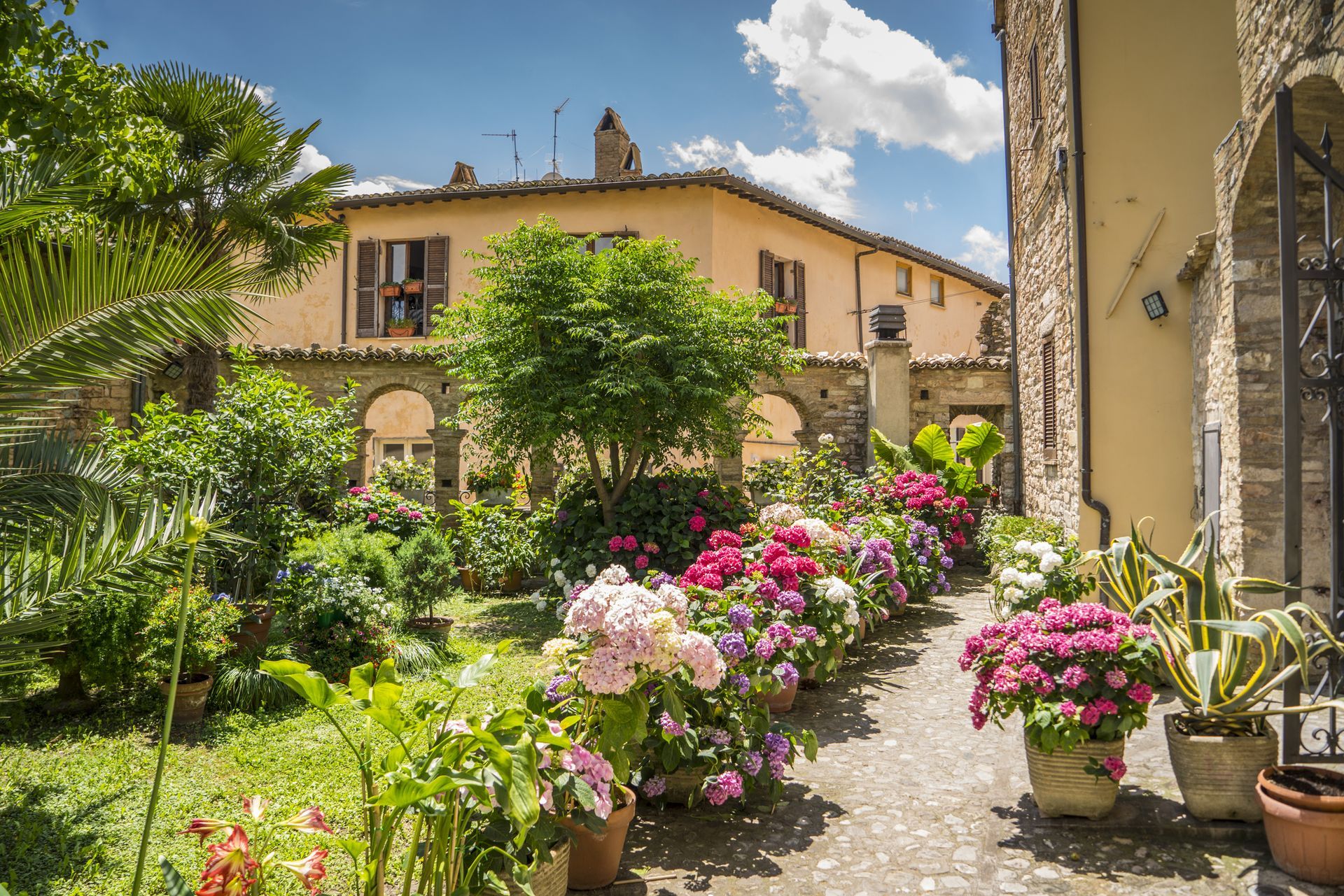 cespuglio verticale decorativo da interno