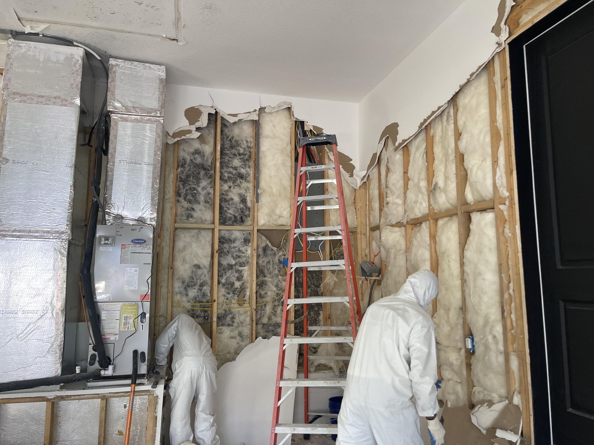 a spray bottle is sitting on a wooden floor next to a mouldy wall .