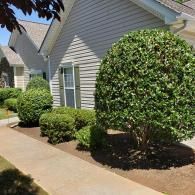 Residential House With Plants — Cedartown, GA — J & J Landscape & Services LLC