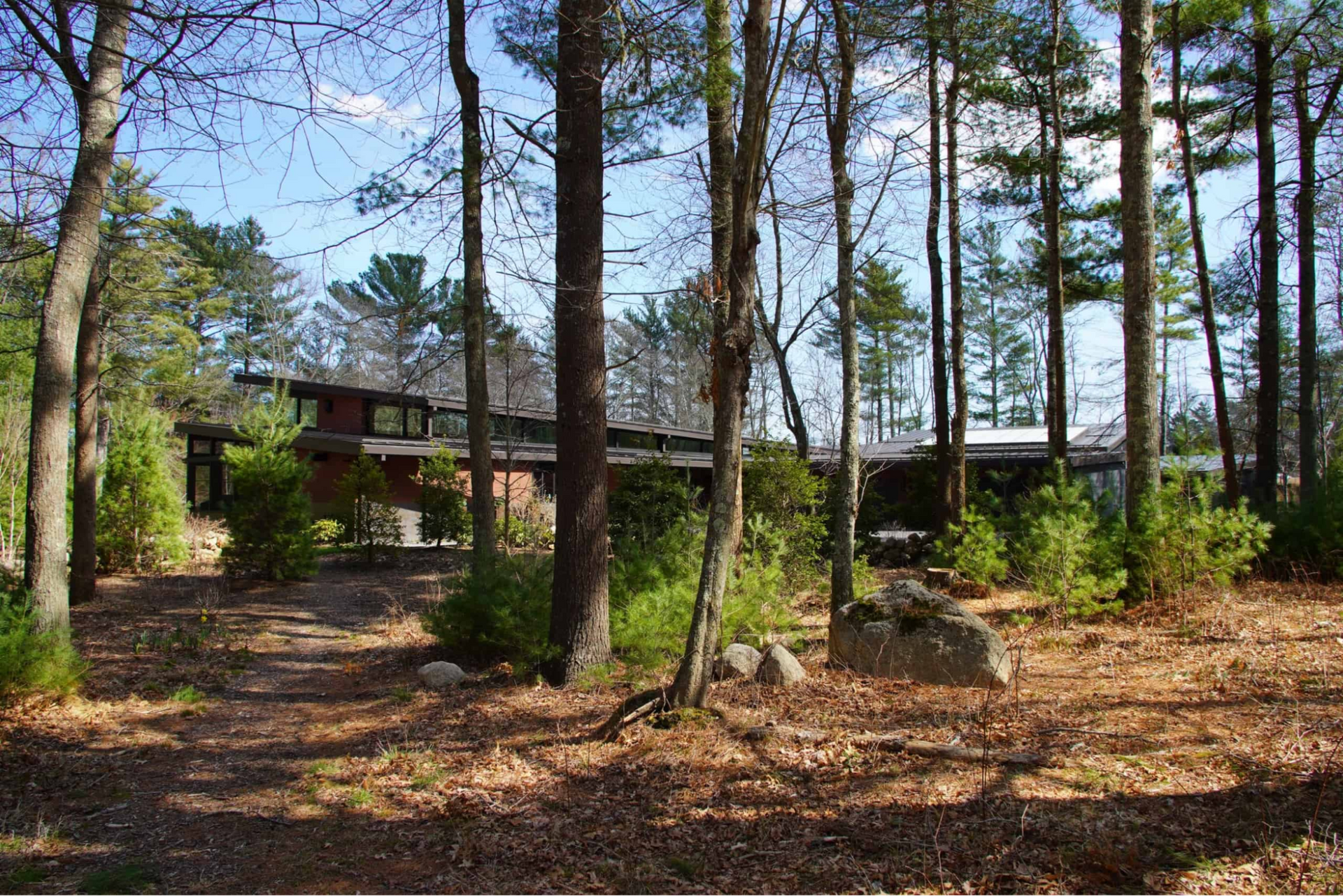 View of house through trees on approach 