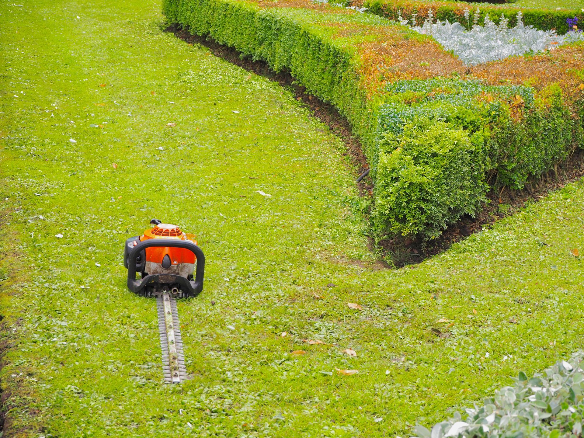 Hedge Trimmer In Garden - Lecanto, FL - Luxe Landscapes