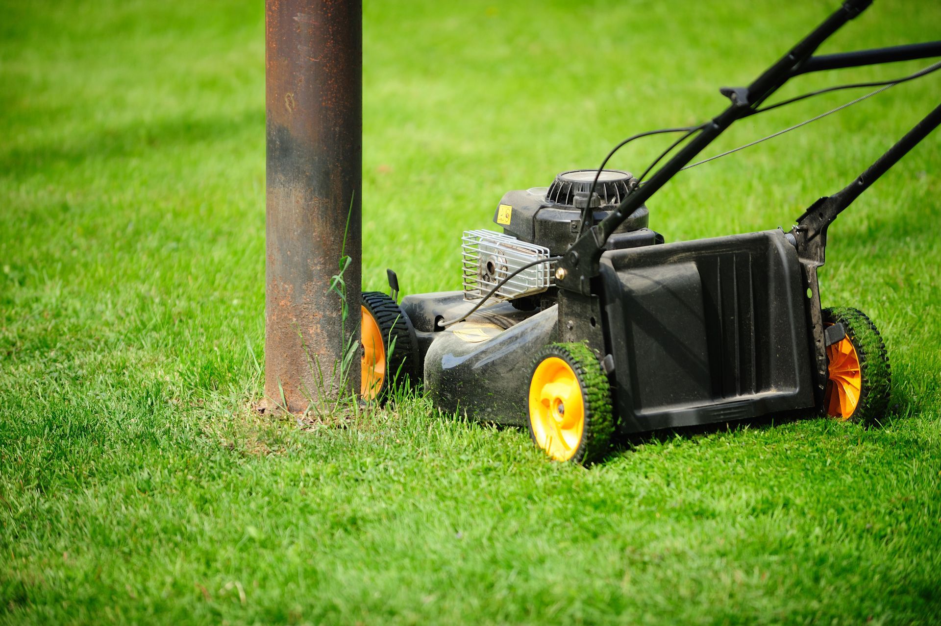 Black And Yellow Lawn Mower - Lecanto, FL - Luxe Landscapes