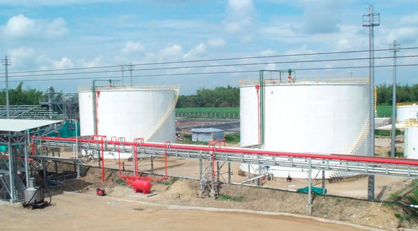 Estructura Planta Manuelita