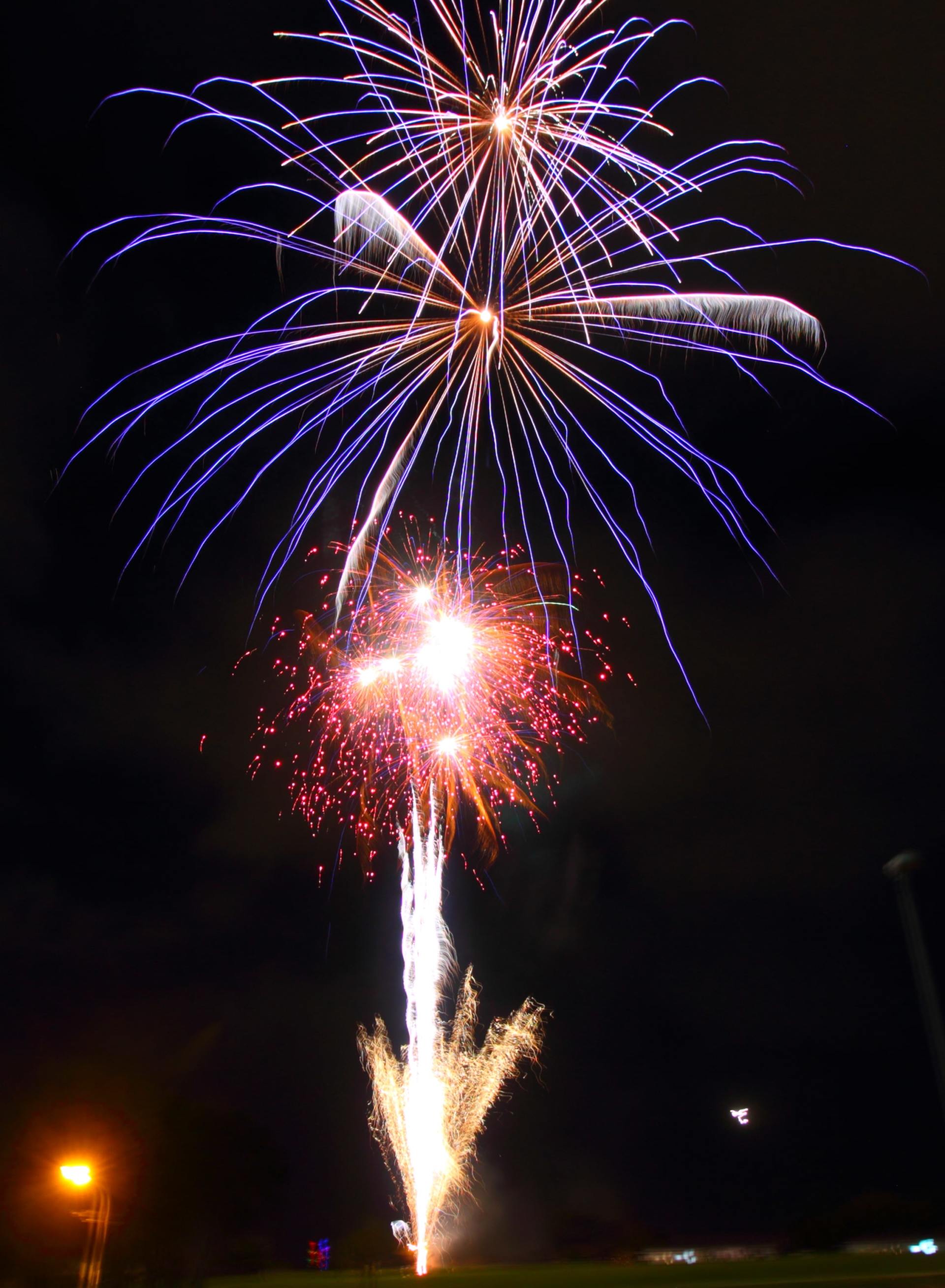 A fireworks display is going off in the night sky