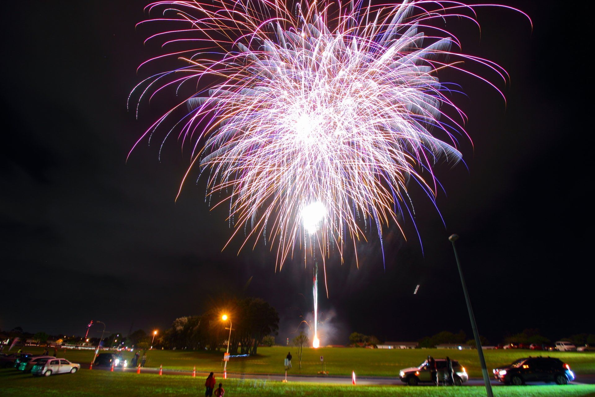 A fireworks display is taking place in a park at night.