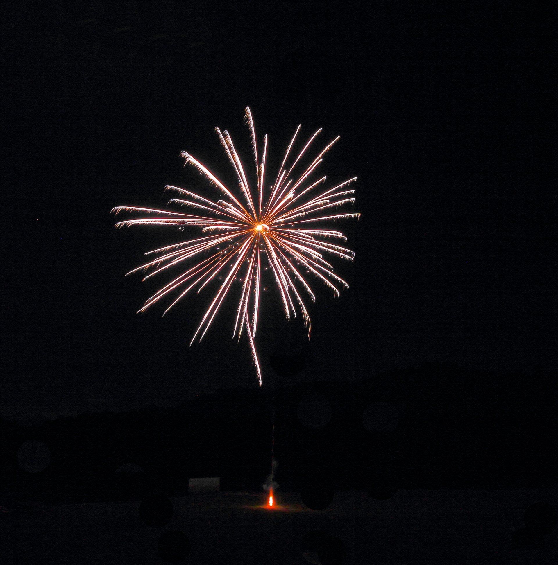 A fireworks display is lit up in the night sky