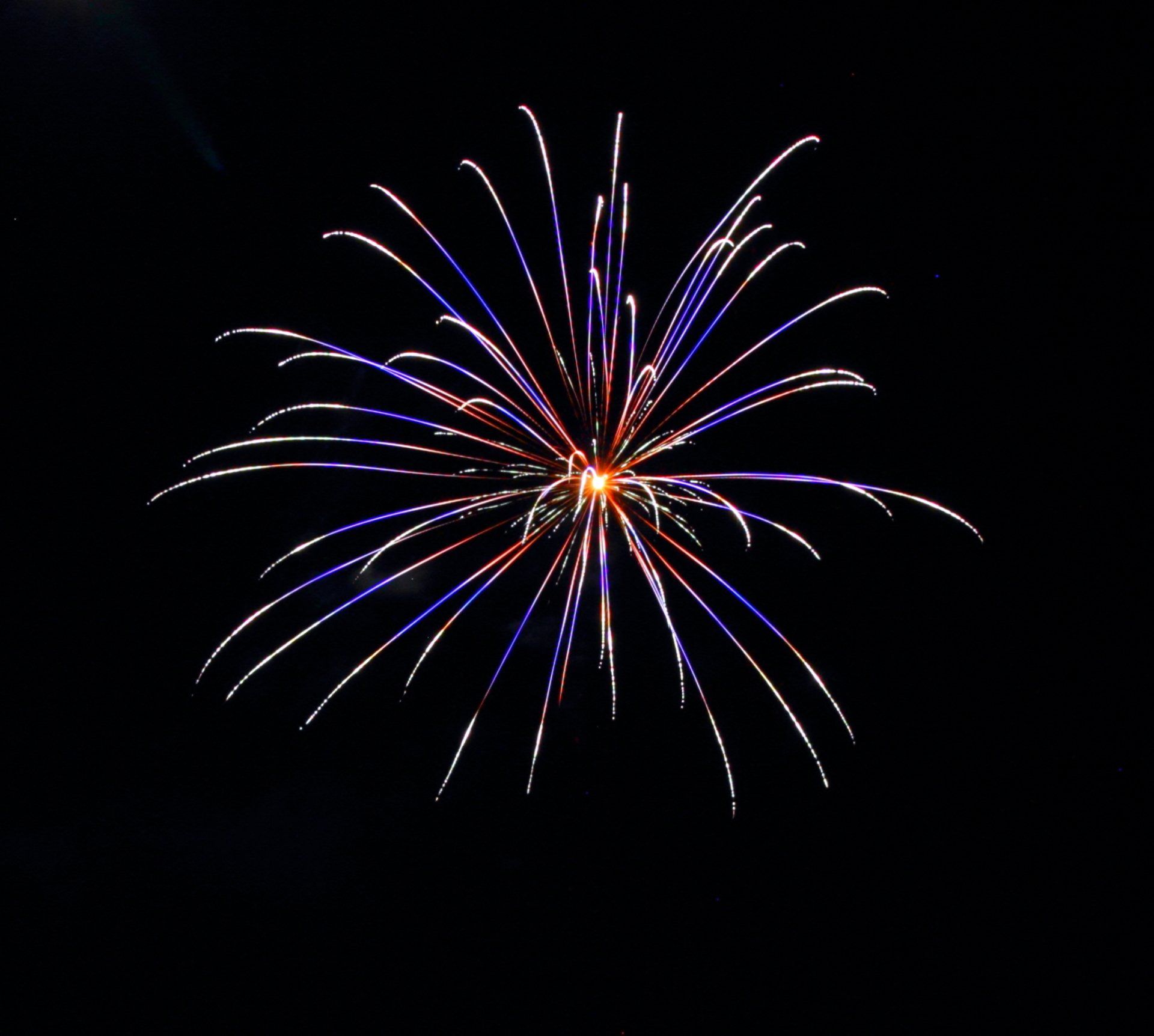 A red white and blue fireworks display in the night sky