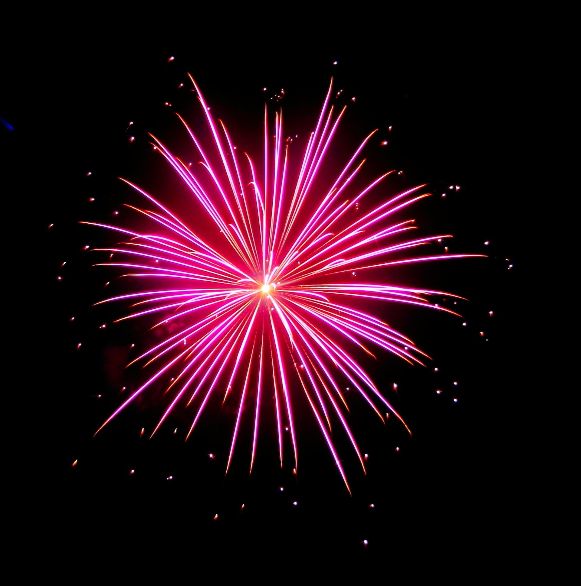 A pink fireworks display in the night sky