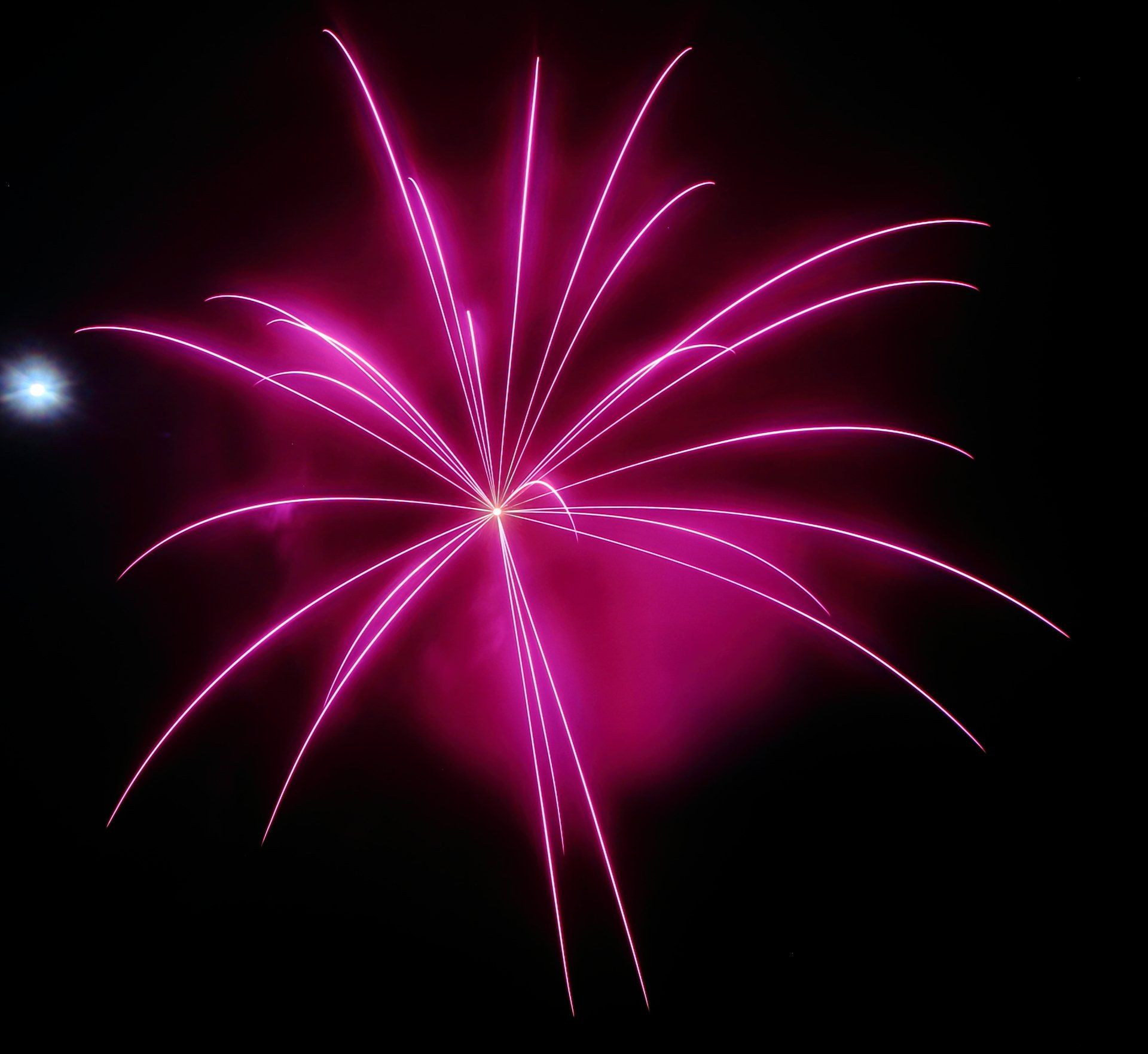 A pink fireworks display in the night sky
