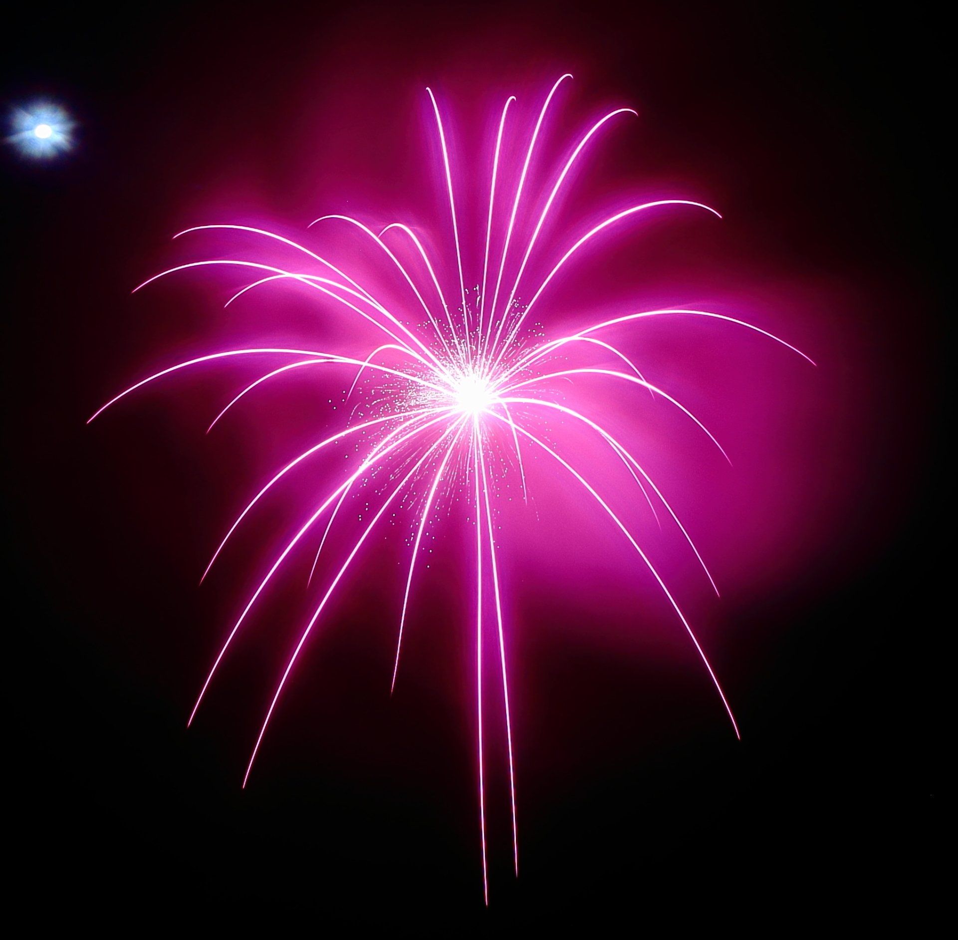 A pink fireworks display in the night sky