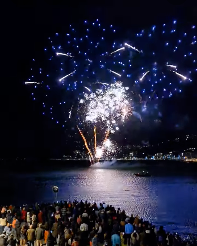 A crowd of people watching fireworks over a body of water