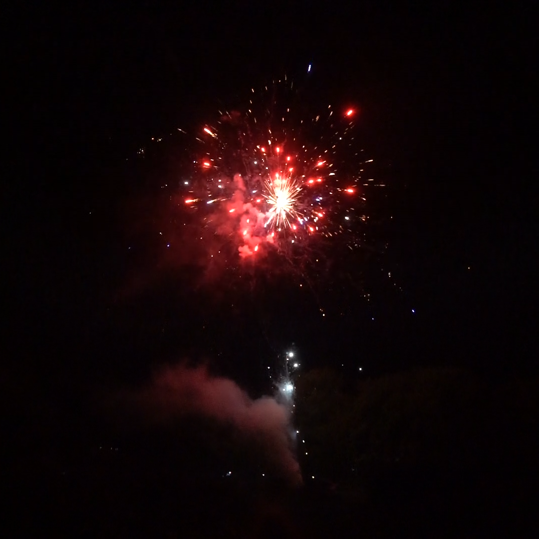 A fireworks display is going off in the night sky.