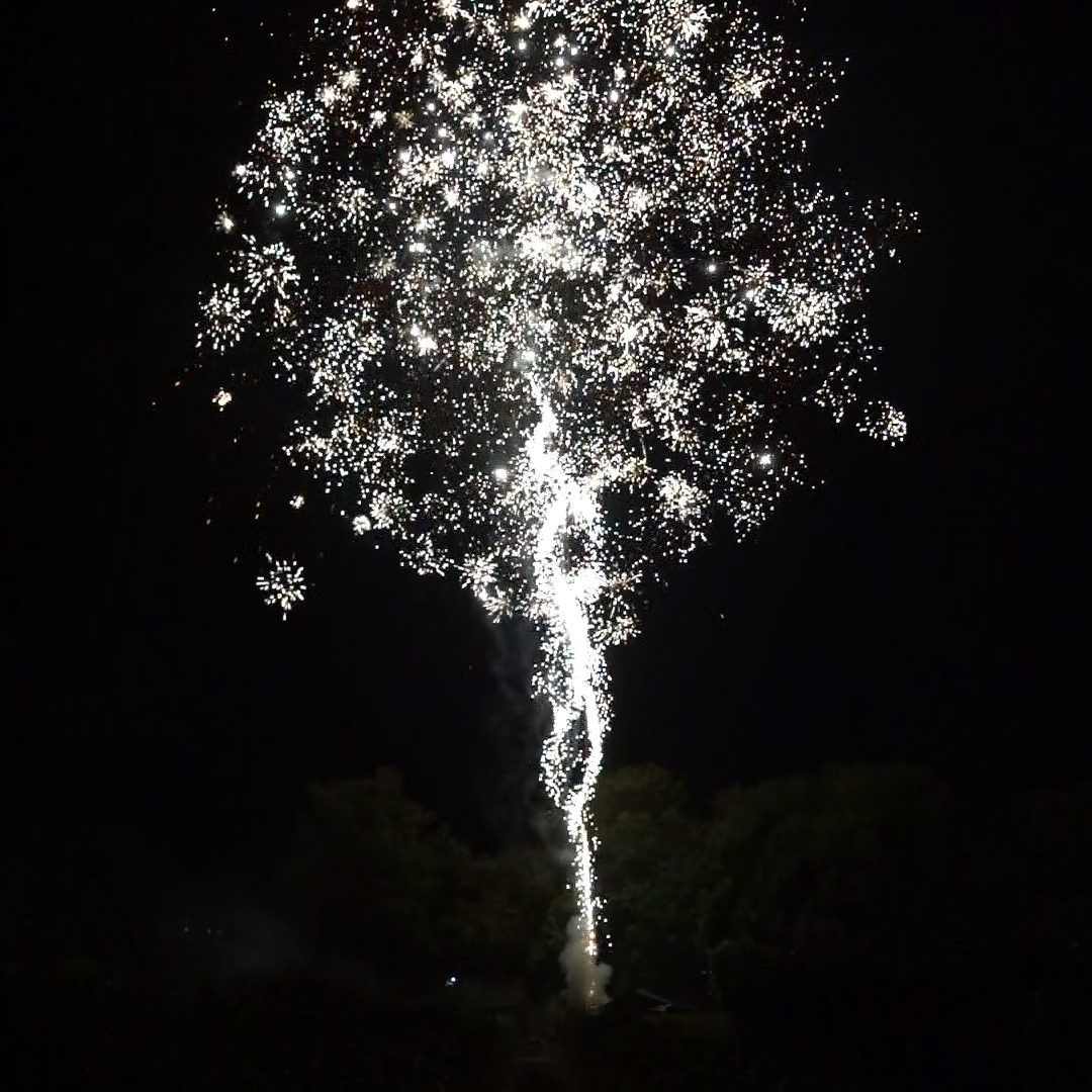 A tree shaped fireworks display in the night sky