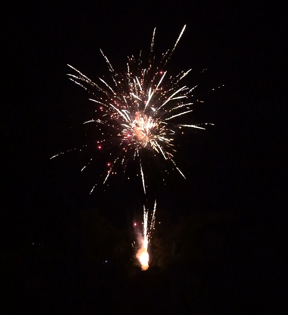 A fireworks display is going off in the night sky.