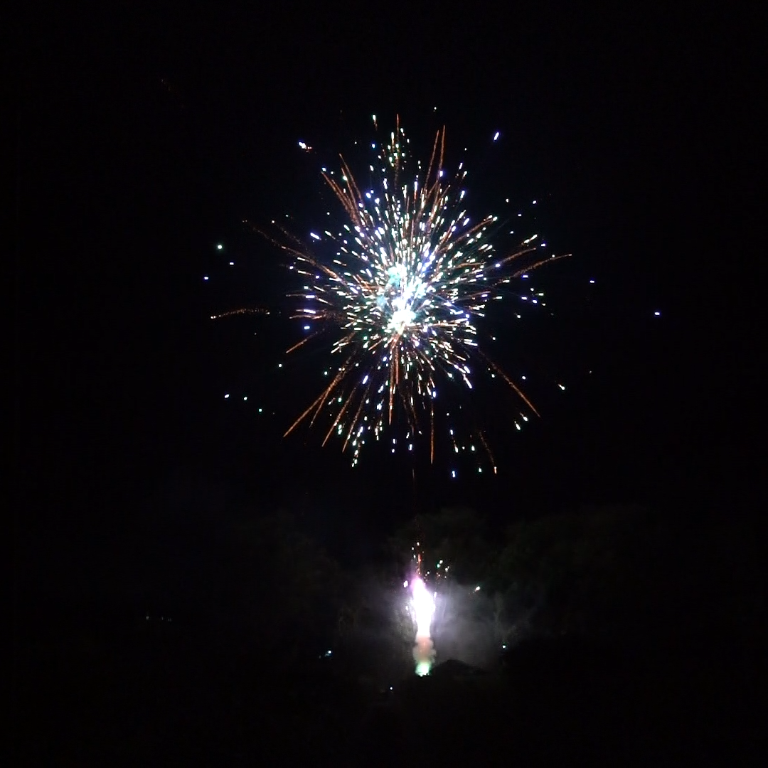 A fireworks display is going off in the night sky