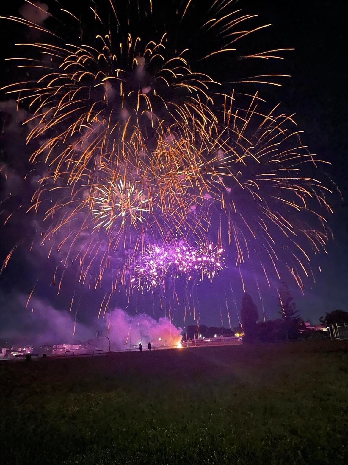 Purple and gold fireworks are exploding in the night sky