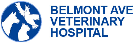 Belmont Avenue Veterinary Hospital LOGO