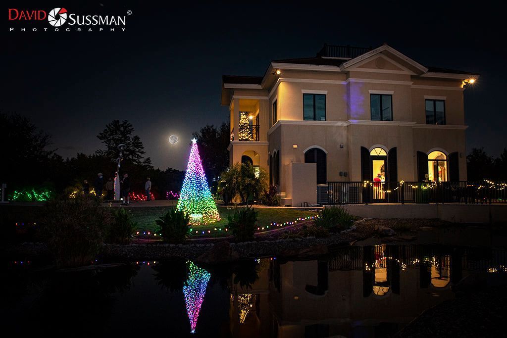 gardens aglow christmas tree