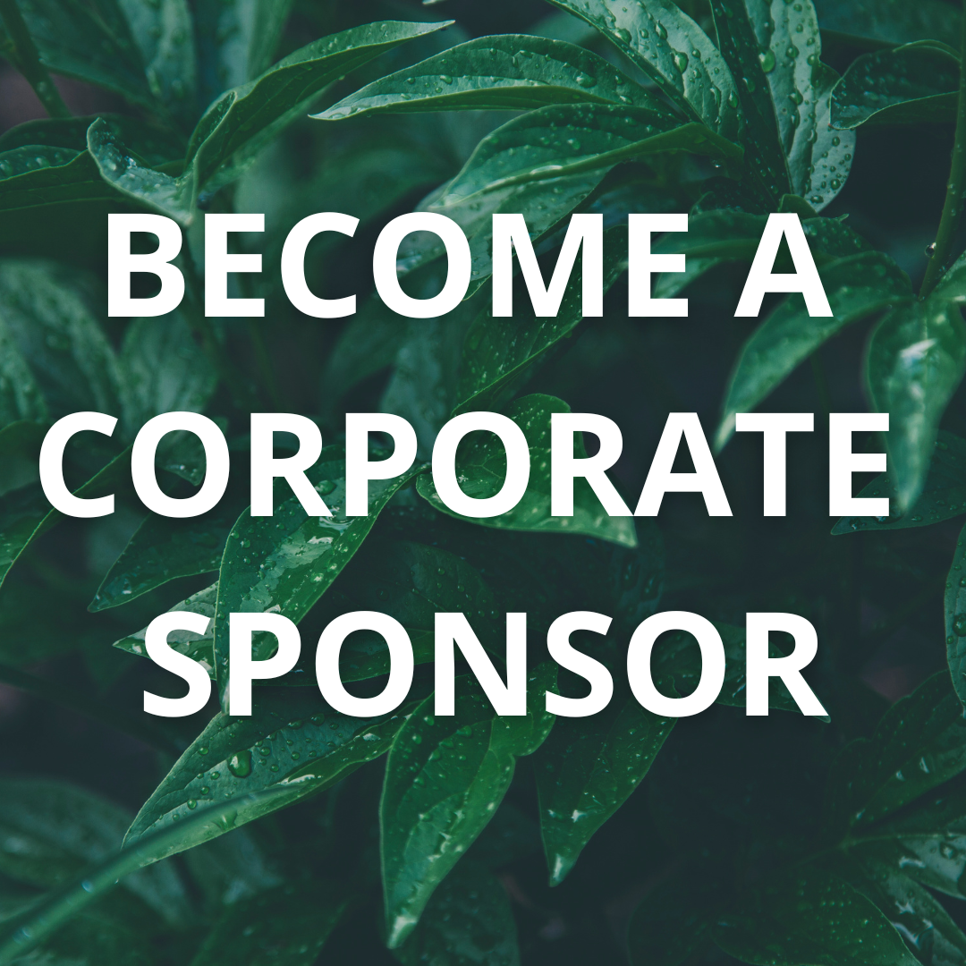 become sponsor