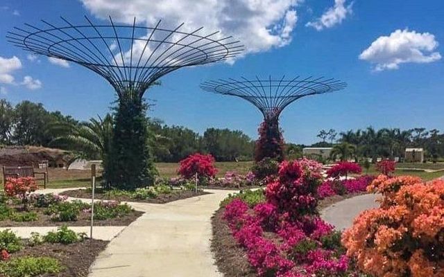 Peace River Botanical Gardens: Explore Nature's Beauty