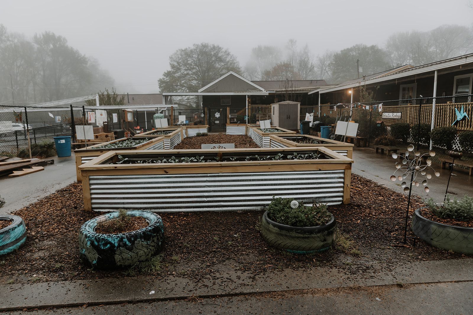 A garden with a lot of potted plants in front of a building on a foggy day.