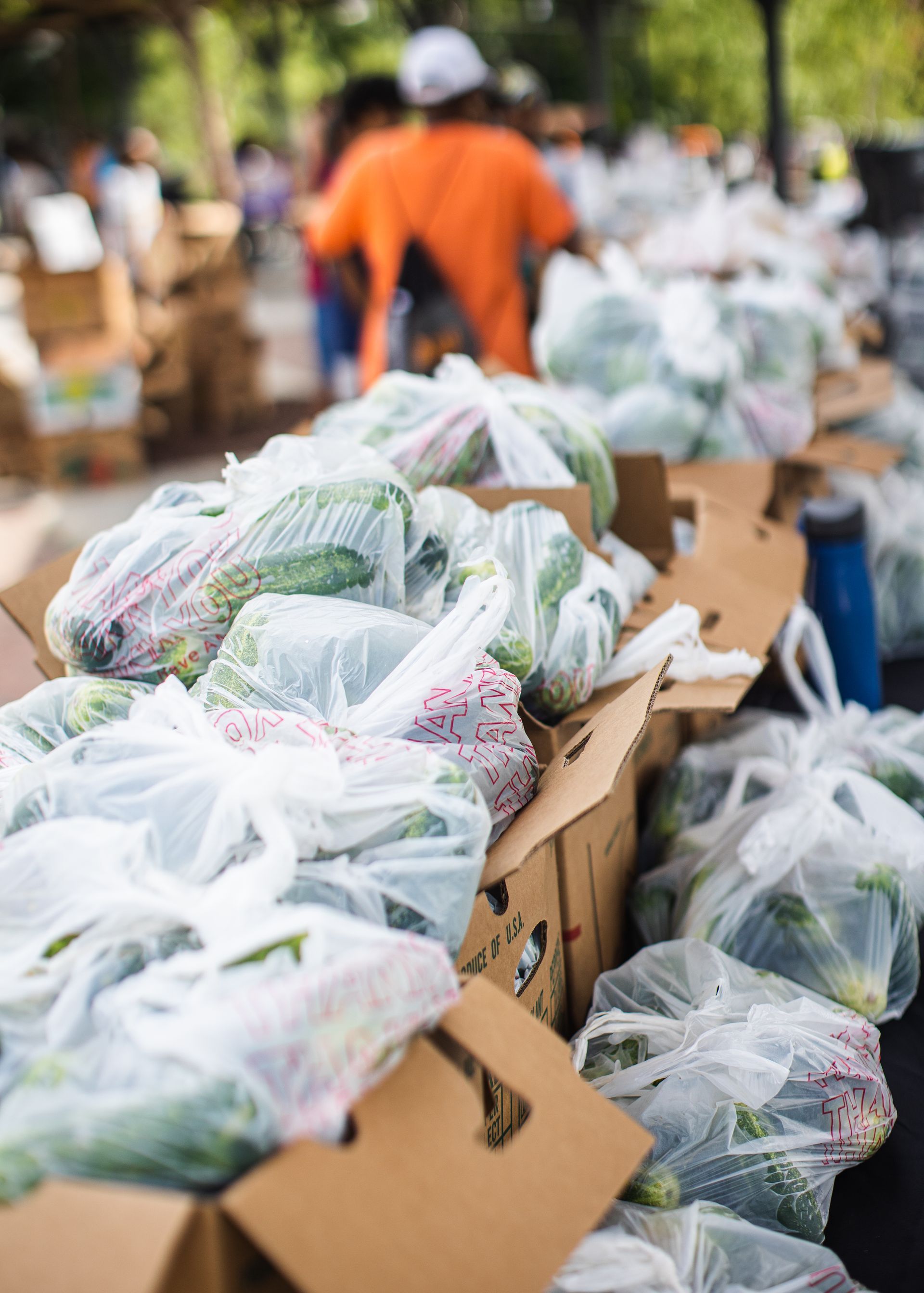 A bunch of boxes filled with plastic bags of vegetables.