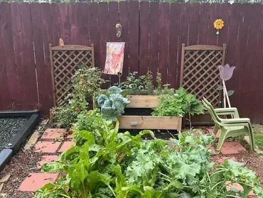 A garden with a wooden fence , chairs , and plants.