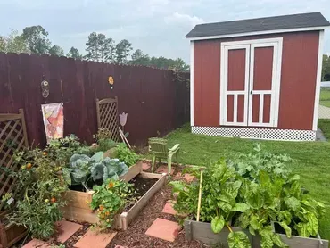 There is a red shed in the backyard with a garden in front of it.