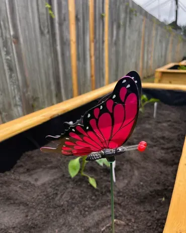 A red and black butterfly is sitting on top of a plant in a garden.