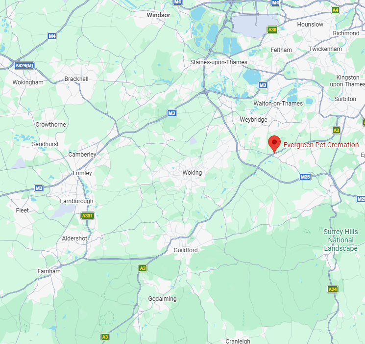 A map of the area south of London, showing a red pin indicating a location between Woking and Walton-on-Thames.