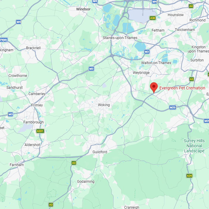 A map of the area south of London, showing a red pin indicating a location between Woking and Walton-on-Thames.