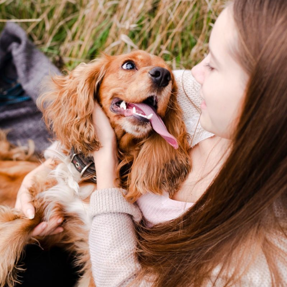 A woman hugs her happy, golden-brown spaniel outdoors in a field of tall, dried grass.