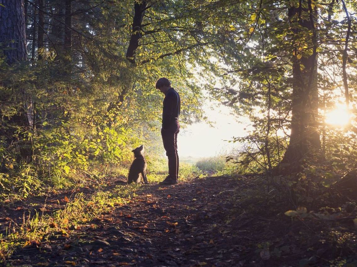 A man is standing next to a dog in the woods.