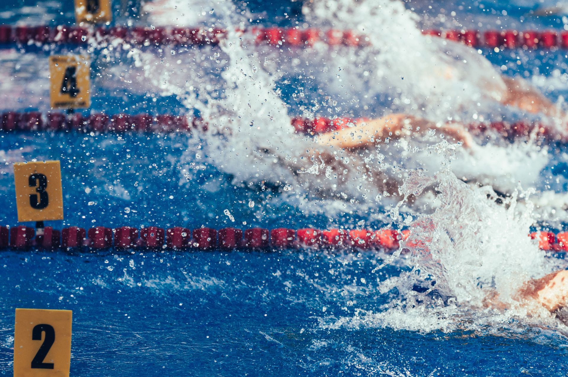 Schwimmer im Schwimmbecken