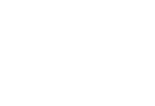 logo nhs* group