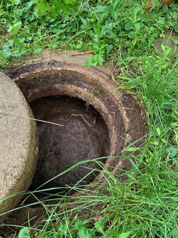 Covered Septic Hole | Terre Haute, IN | All Star Sanitation Inc.