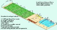 fish farming, aquaponics systems, aquaponics greenhouses