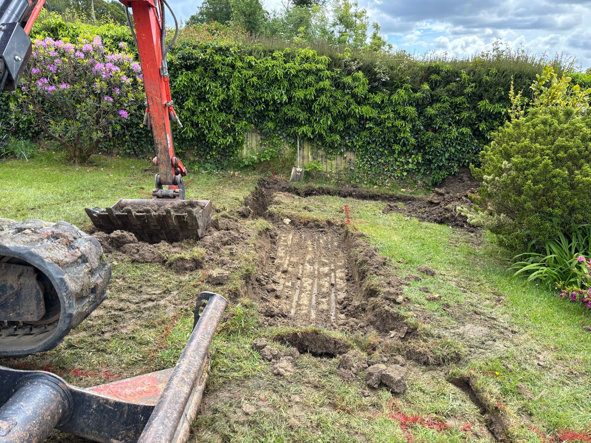 Excavator arm digging up a muddy backyard lawn beside green hedges and purple flowers