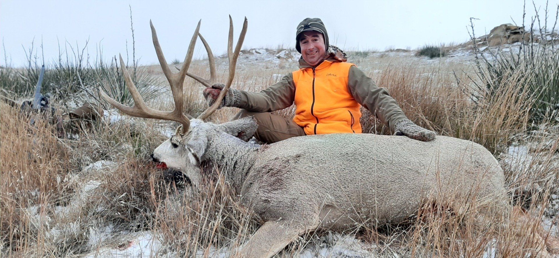Montana big game hunting outfitter Mule deer hunting