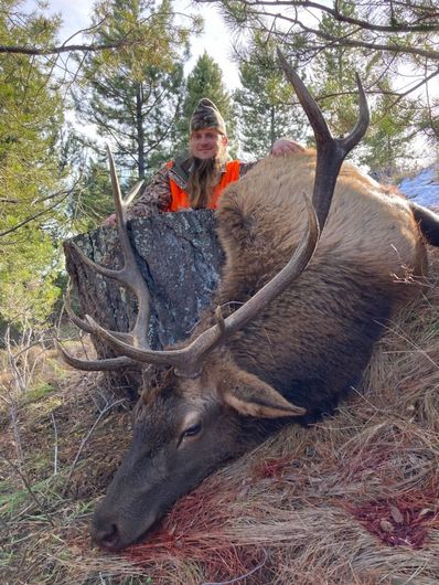 Montana elk hunting outfitter, Montana elk hunt, Rick Wemple