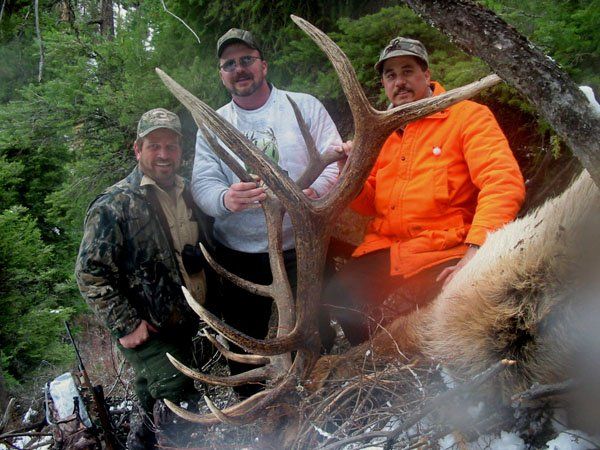 Montana Elk hunting outfitter, Montana Elk Hunting Guide, Rick Wemple