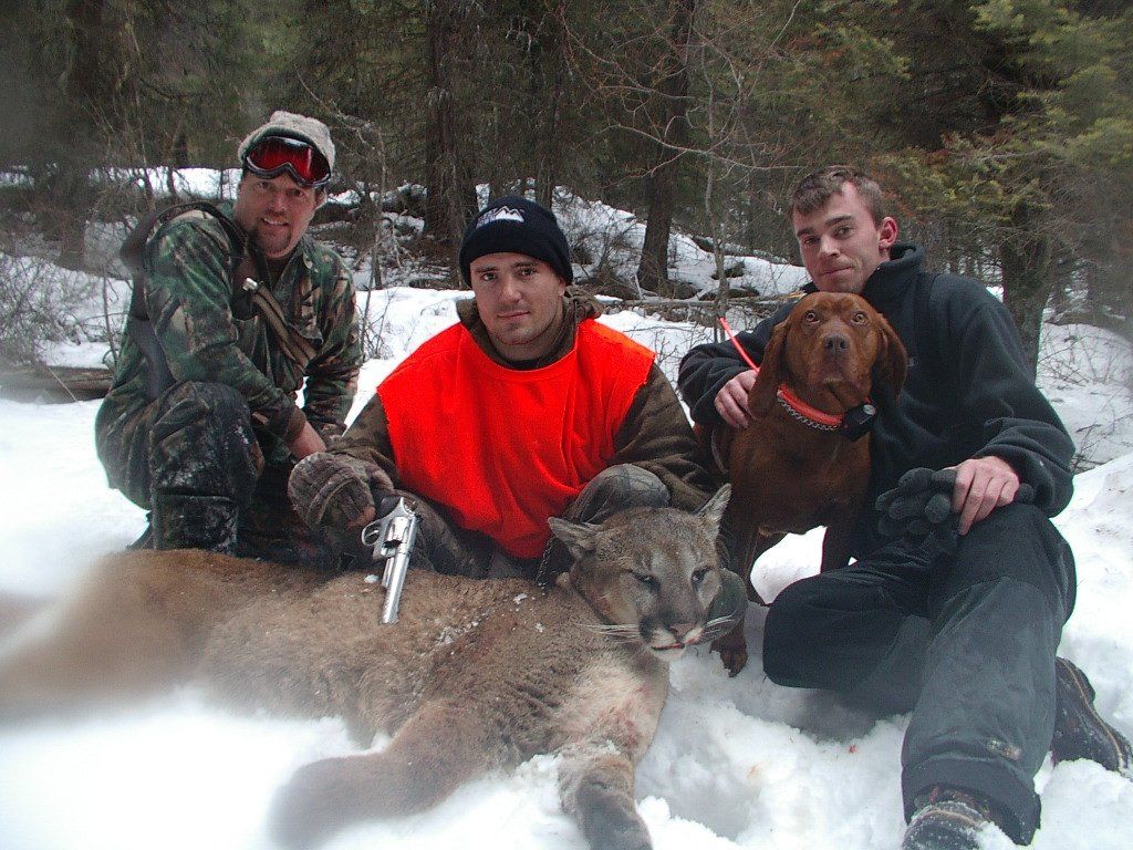 Rick Wemple Outfitting, Mountain lion hunting guide Montana