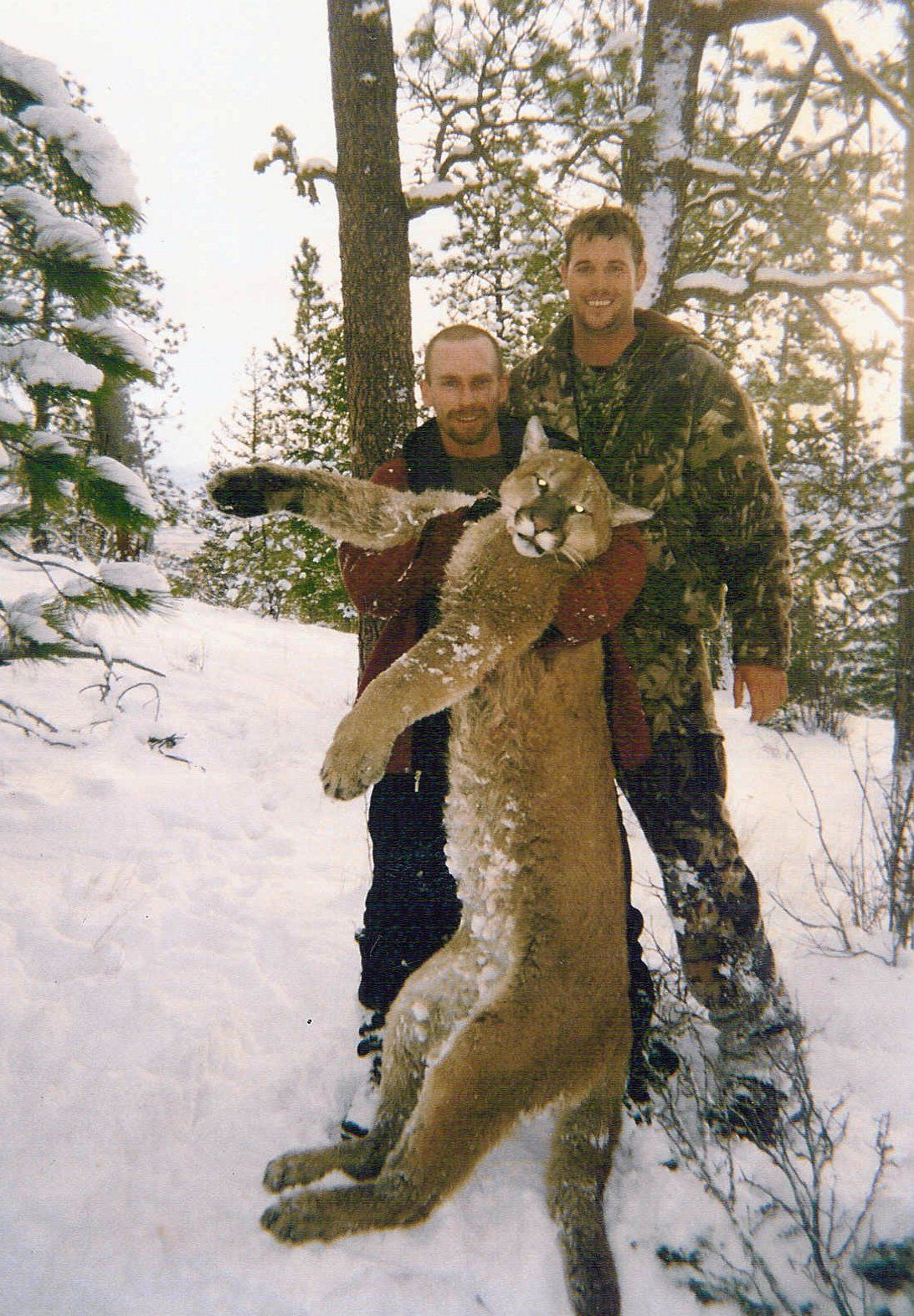Montana Hunting Guide, Rick Wemple Montana Lion Hunting, Mountain Lion Hunting Guide