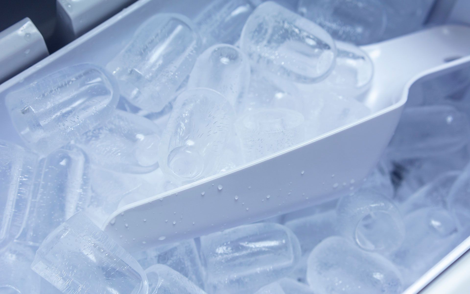 A bucket of ice cubes with a scoop in it.