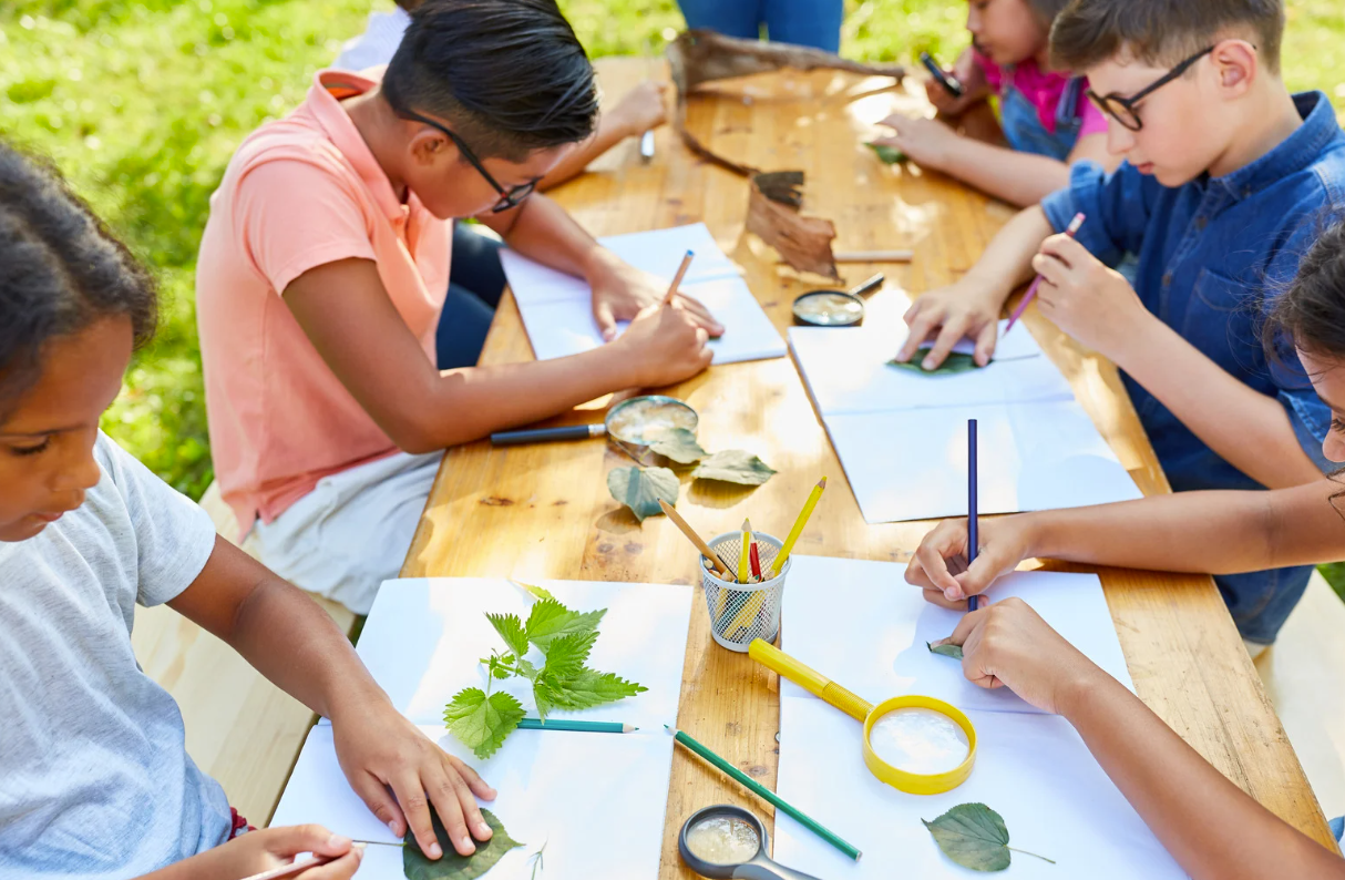 Children drawing leaves and rocks at an outdoor table; pencils and magnifying glass visible.